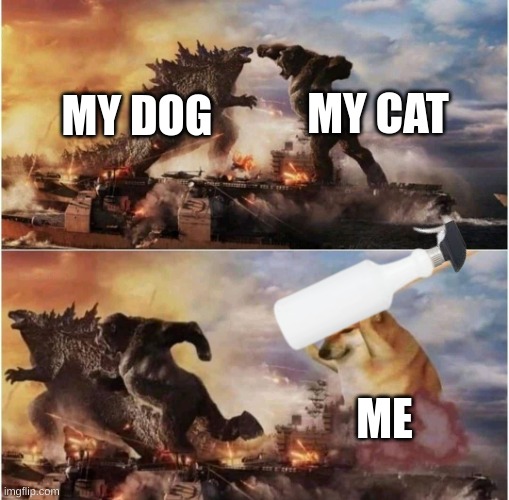 Spray Bottle Showdown: How I Outsmarted My Dog and Cat with Just One Squeeze! | MY CAT; MY DOG; ME | image tagged in kong godzilla doge,funny,memes,cats,dogs,cats and dogs | made w/ Imgflip meme maker