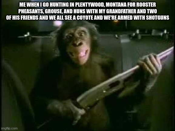 Trunk Monkey with gun | ME WHEN I GO HUNTING IN PLENTYWOOD, MONTANA FOR ROOSTER PHEASANTS, GROUSE, AND HUNS WITH MY GRANDFATHER AND TWO OF HIS FRIENDS AND WE ALL SEE A COYOTE AND WE'RE ARMED WITH SHOTGUNS | image tagged in trunk monkey with gun | made w/ Imgflip meme maker