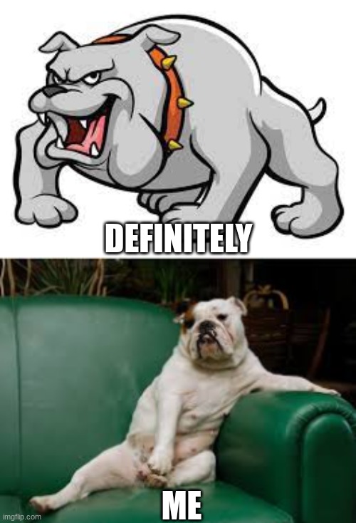 Dog | DEFINITELY; ME | image tagged in dogs,funny | made w/ Imgflip meme maker