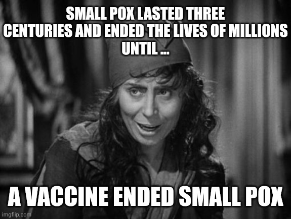 Vaccines | SMALL POX LASTED THREE CENTURIES AND ENDED THE LIVES OF MILLIONS
UNTIL ... A VACCINE ENDED SMALL POX | image tagged in to the guillotine,vaccinations,small pox,vaccines,memes,vaccines save lives | made w/ Imgflip meme maker