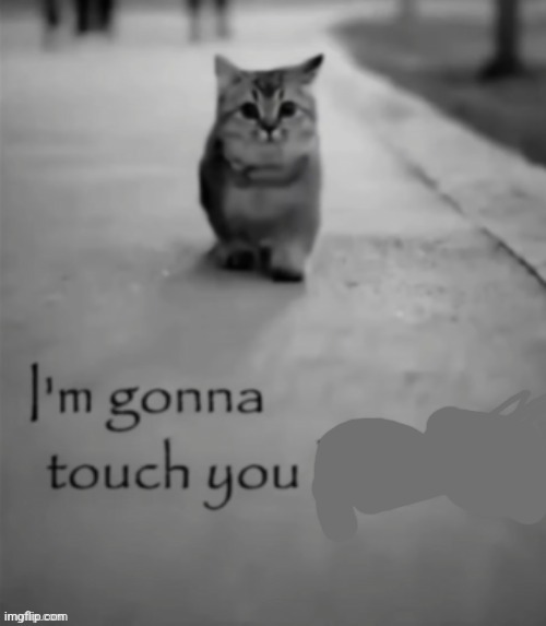 I'm gonna touch you bro | image tagged in i'm gonna touch you bro | made w/ Imgflip meme maker