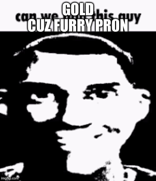 The,other image with this temp got deleted | GOLD
CUZ FURRY PR0N | image tagged in can we ban this guy | made w/ Imgflip meme maker