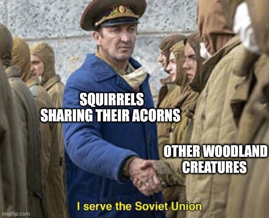 Sharing acorns is like communism | SQUIRRELS SHARING THEIR ACORNS; OTHER WOODLAND CREATURES | image tagged in i serve the soviet union,communism,jpfan102504 | made w/ Imgflip meme maker
