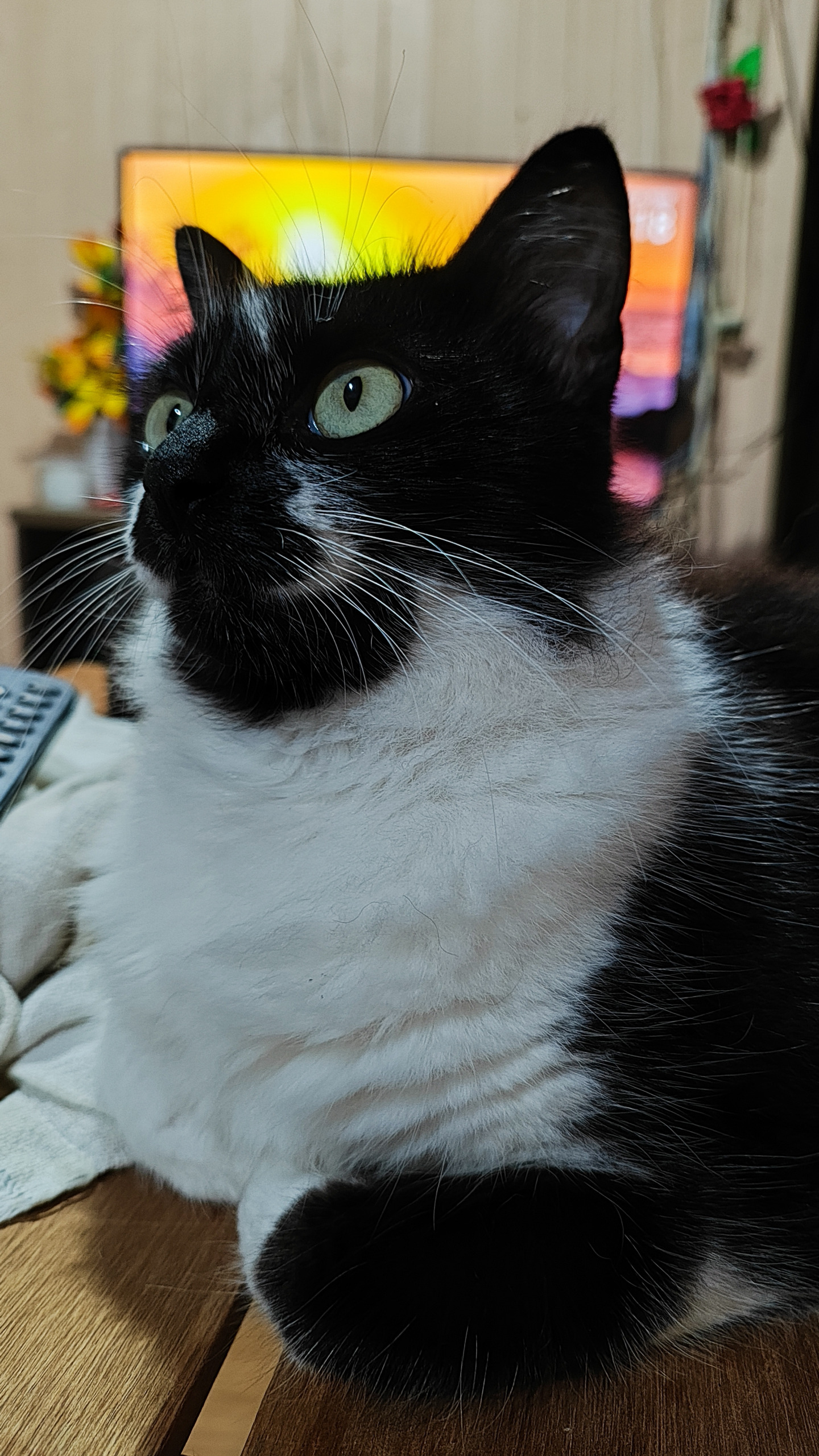 Parece que Piorô Blank Meme Template