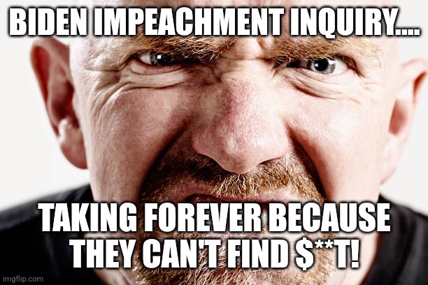 Biden impeachment inquiry | BIDEN IMPEACHMENT INQUIRY.... TAKING FOREVER BECAUSE THEY CAN'T FIND $**T! | image tagged in conservative,republican,democrat,trump,biden,maga | made w/ Imgflip meme maker