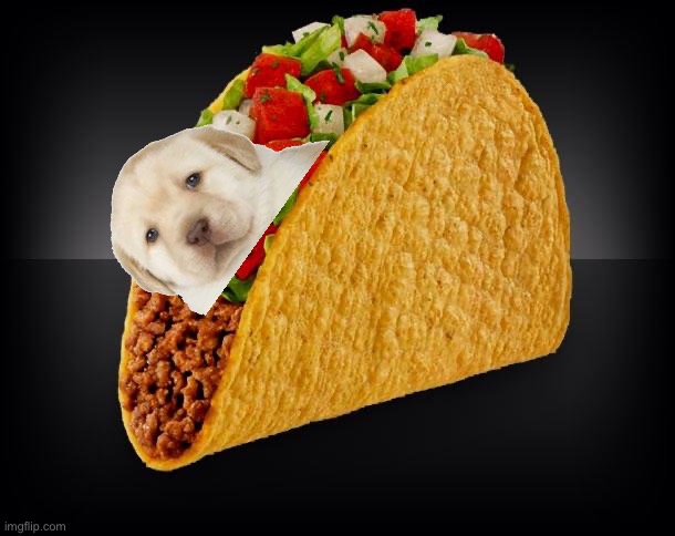 Taco | image tagged in taco | made w/ Imgflip meme maker