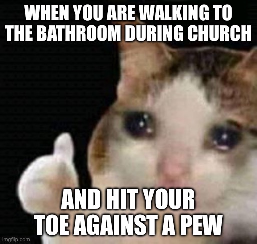 sad thumbs up cat | WHEN YOU ARE WALKING TO THE BATHROOM DURING CHURCH; AND HIT YOUR TOE AGAINST A PEW | image tagged in sad thumbs up cat | made w/ Imgflip meme maker