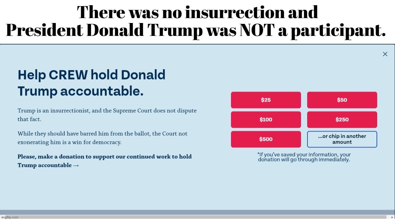 There was no insurrection and Donald Trump was not a participant. | image tagged in sounds like communist propaganda,propaganda,uniparty,radical left,fbi conspiracy,red flag | made w/ Imgflip meme maker