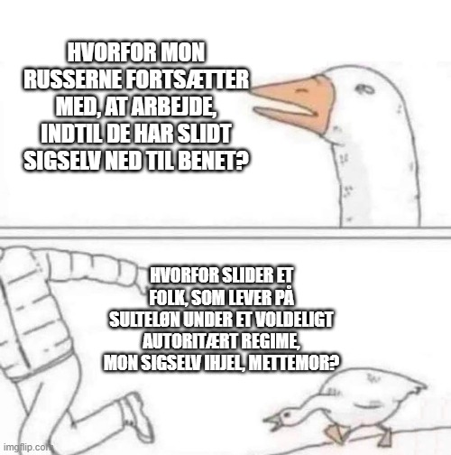 Goose Chase | HVORFOR MON RUSSERNE FORTSÆTTER MED, AT ARBEJDE, INDTIL DE HAR SLIDT SIGSELV NED TIL BENET? HVORFOR SLIDER ET FOLK, SOM LEVER PÅ SULTELØN UNDER ET VOLDELIGT AUTORITÆRT REGIME, MON SIGSELV IHJEL, METTEMOR? | image tagged in goose chase | made w/ Imgflip meme maker