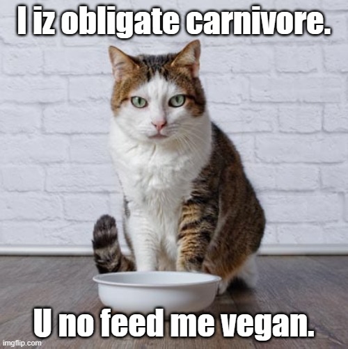 I iz obligate carnivore. U no feed me vegan. | made w/ Imgflip meme maker