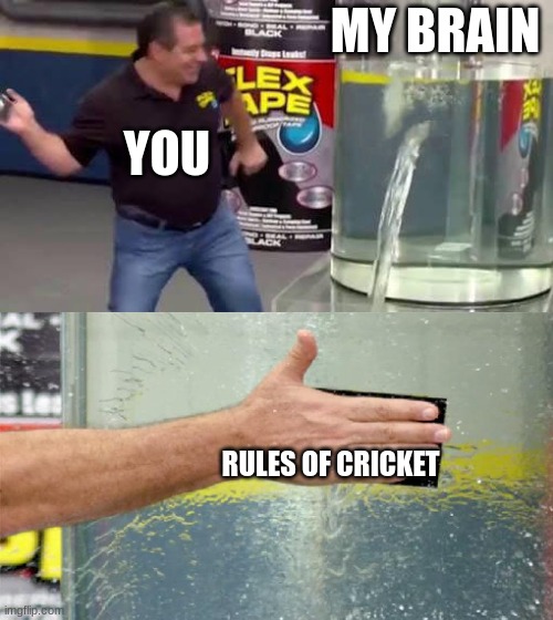 Flex Tape | MY BRAIN RULES OF CRICKET YOU | image tagged in flex tape | made w/ Imgflip meme maker