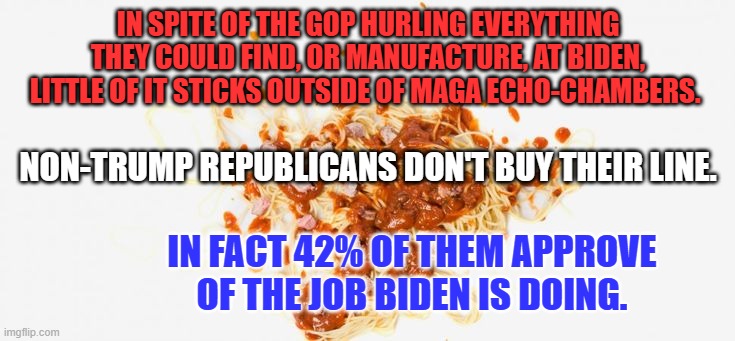 A hidden gem from a survey of 12,000 Republican Primary Voters. | IN SPITE OF THE GOP HURLING EVERYTHING THEY COULD FIND, OR MANUFACTURE, AT BIDEN, LITTLE OF IT STICKS OUTSIDE OF MAGA ECHO-CHAMBERS. NON-TRUMP REPUBLICANS DON'T BUY THEIR LINE. IN FACT 42% OF THEM APPROVE OF THE JOB BIDEN IS DOING. | image tagged in politics | made w/ Imgflip meme maker