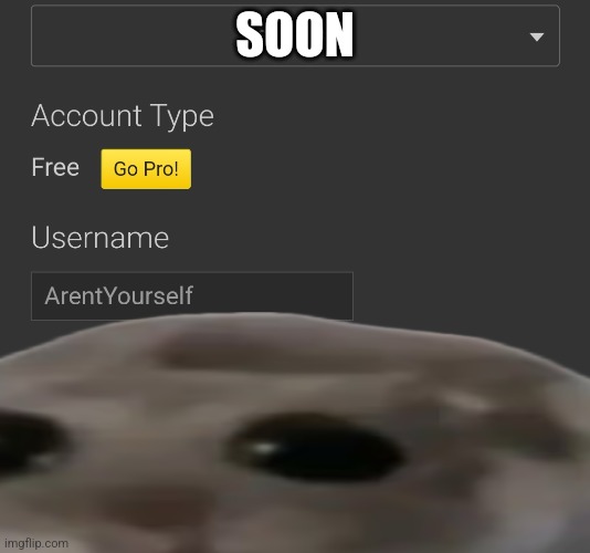 SOON | made w/ Imgflip meme maker