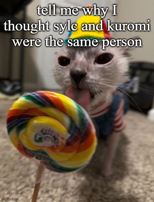 silly goober | tell me why I thought sylc and kuromi were the same person | image tagged in silly goober | made w/ Imgflip meme maker