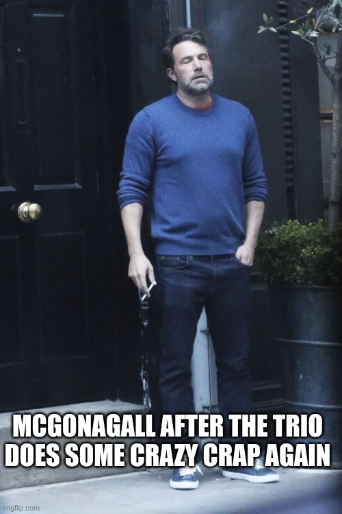 So done and annoyed | MCGONAGALL AFTER THE TRIO DOES SOME CRAZY CRAP AGAIN | image tagged in so done and annoyed,harry potter | made w/ Imgflip meme maker