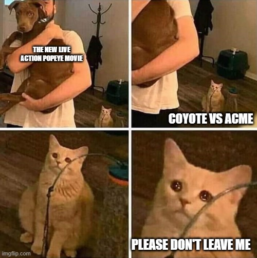popeye is gonna overshadow coyote vs acme | THE NEW LIVE ACTION POPEYE MOVIE; COYOTE VS ACME; PLEASE DON'T LEAVE ME | image tagged in ignored cat,popeye,prediction | made w/ Imgflip meme maker