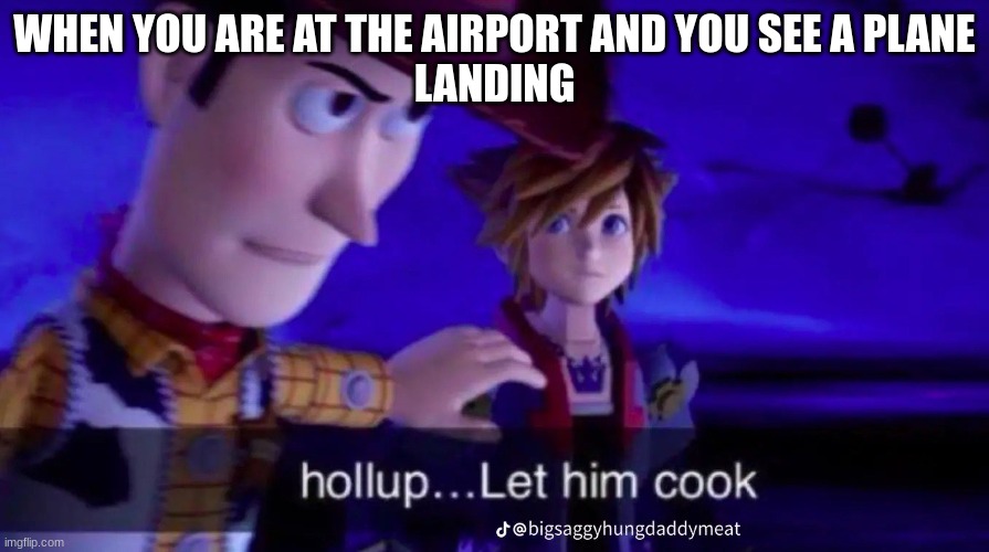 Let bro cool | WHEN YOU ARE AT THE AIRPORT AND YOU SEE A PLANE
LANDING | image tagged in holl up let him cook,landing | made w/ Imgflip meme maker