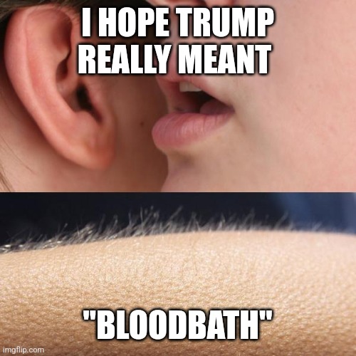 Whisper and Goosebumps | I HOPE TRUMP REALLY MEANT; "BLOODBATH" | image tagged in whisper and goosebumps,funny memes | made w/ Imgflip meme maker