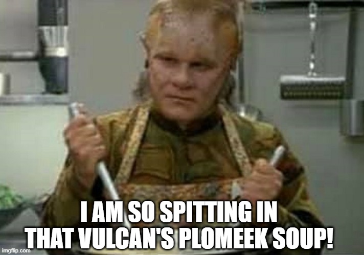 Angry at Tuvok huh | I AM SO SPITTING IN THAT VULCAN'S PLOMEEK SOUP! | image tagged in neelix angry | made w/ Imgflip meme maker