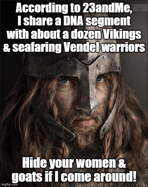 I am a Viking | According to 23andMe, I share a DNA segment with about a dozen Vikings & seafaring Vendel warriors; Hide your women & goats if I come around! | image tagged in viking,dna | made w/ Imgflip meme maker