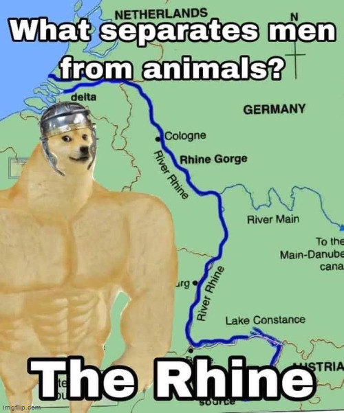 What separates men from animals the Rhine | image tagged in what separates men from animals the rhine | made w/ Imgflip meme maker
