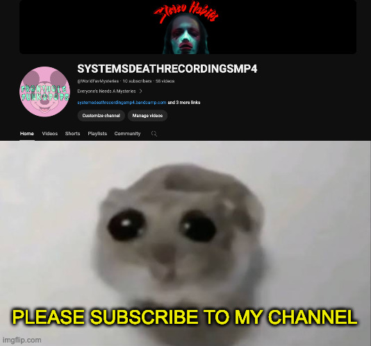 PLEASE SUBSCRIBE TO MY CHANNEL | image tagged in sad hamster,memes,meme,funny,fun,youtube | made w/ Imgflip meme maker