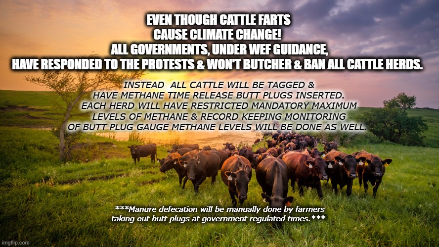 EVEN THOUGH CATTLE FARTS CAUSE CLIMATE CHANGE! 
 ALL GOVERNMENTS, UNDER WEF GUIDANCE, HAVE RESPONDED TO THE PROTESTS & WON'T BUTCHER & BAN ALL CATTLE HERDS. INSTEAD  ALL CATTLE WILL BE TAGGED & HAVE METHANE TIME RELEASE BUTT PLUGS INSERTED. EACH HERD WILL HAVE RESTRICTED MANDATORY MAXIMUM LEVELS OF METHANE & RECORD KEEPING MONITORING OF BUTT PLUG GAUGE METHANE LEVELS WILL BE DONE AS WELL. ***Manure defecation will be manually done by farmers taking out butt plugs at government regulated times.*** | made w/ Imgflip meme maker