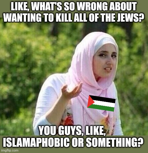 River to the sea | LIKE, WHAT'S SO WRONG ABOUT WANTING TO KILL ALL OF THE JEWS? YOU GUYS, LIKE,  ISLAMAPHOBIC OR SOMETHING? | image tagged in confused arab lady | made w/ Imgflip meme maker