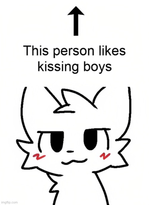the person above likes kissing boys | image tagged in the person above likes kissing boys | made w/ Imgflip meme maker