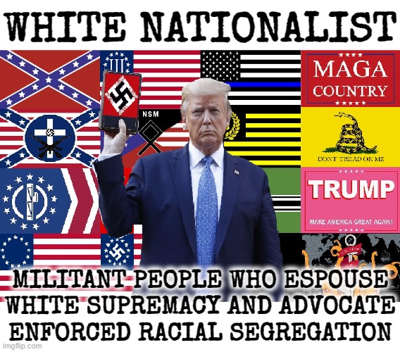 WHITE NATIONALIST | WHITE NATIONALIST; MILITANT PEOPLE WHO ESPOUSE WHITE SUPREMACY AND ADVOCATE ENFORCED RACIAL SEGREGATION | image tagged in white nationalist,maga,nazi,confederate,kkk,trump | made w/ Imgflip meme maker