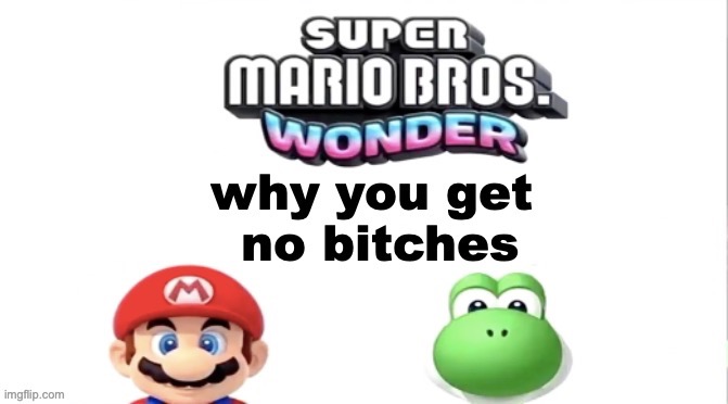 image tagged in super mario bros wonder why you get no bitches | made w/ Imgflip meme maker