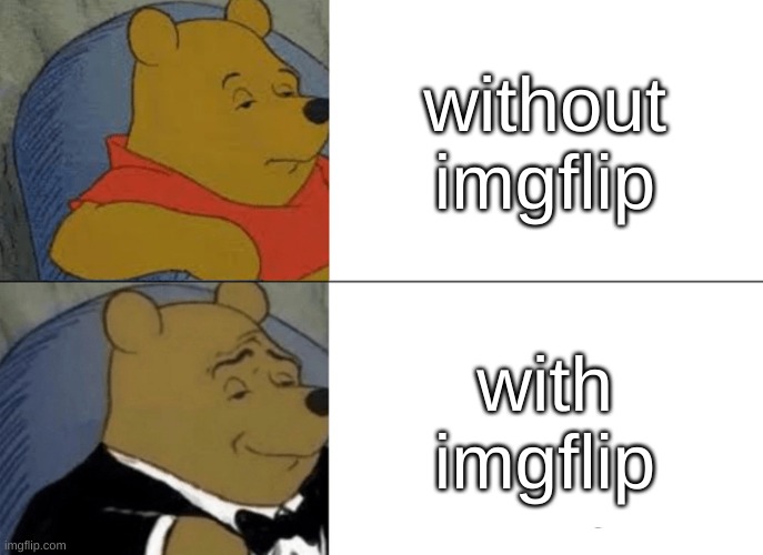 when you got imgflip | without imgflip; with imgflip | image tagged in memes,tuxedo winnie the pooh | made w/ Imgflip meme maker