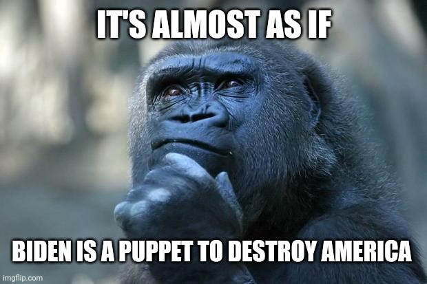 Deep Thoughts | IT'S ALMOST AS IF BIDEN IS A PUPPET TO DESTROY AMERICA | image tagged in deep thoughts | made w/ Imgflip meme maker