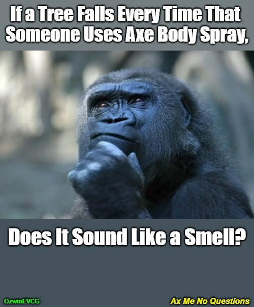 Ax Me No Questions | If a Tree Falls Every Time That 
Someone Uses Axe Body Spray, Does It Sound Like a Smell? Ax Me No Questions; OzwinEVCG | image tagged in ridiculous,getting ready,absurd,deep thoughts,appearances,philosophy | made w/ Imgflip meme maker