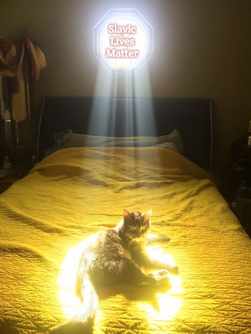 Chosen One cat | Slavic Lives Matter | image tagged in chosen one cat,slavic | made w/ Imgflip meme maker
