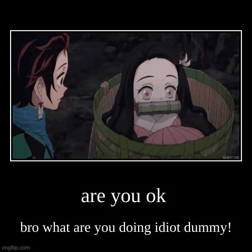 are you ok | bro what are you doing idiot dummy! | image tagged in funny,demotivationals | made w/ Imgflip demotivational maker