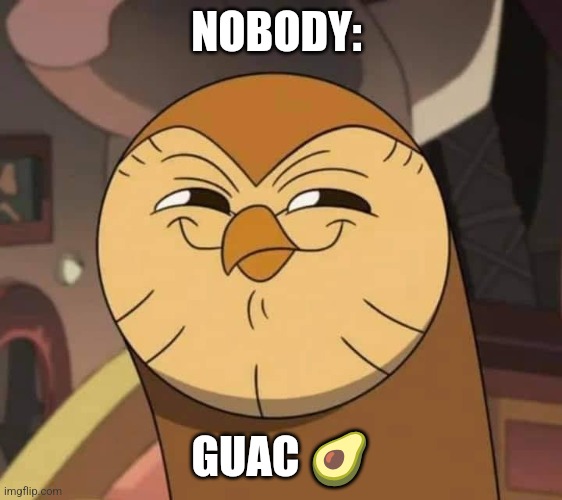 Guac | NOBODY:; GUAC 🥑 | image tagged in hooty like,food memes,jpfan102504 | made w/ Imgflip meme maker
