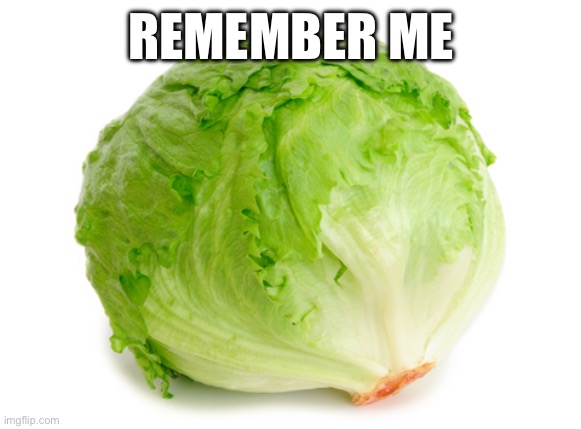 Lettuce  | REMEMBER ME | image tagged in lettuce | made w/ Imgflip meme maker