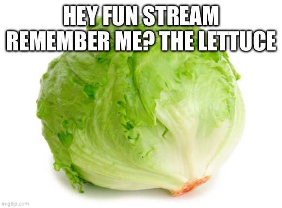 Geee golly gosh I hope this doesn’t get disapproved | HEY FUN STREAM REMEMBER ME? THE LETTUCE | image tagged in lettuce | made w/ Imgflip meme maker