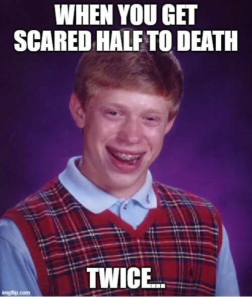 Oof... | WHEN YOU GET SCARED HALF TO DEATH; TWICE... | image tagged in memes,bad luck brian,funny | made w/ Imgflip meme maker