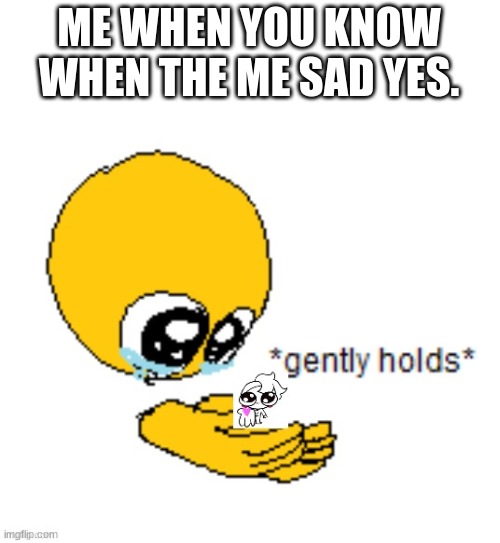 the me sad is | ME WHEN YOU KNOW WHEN THE ME SAD YES. | image tagged in gently hold gummy | made w/ Imgflip meme maker