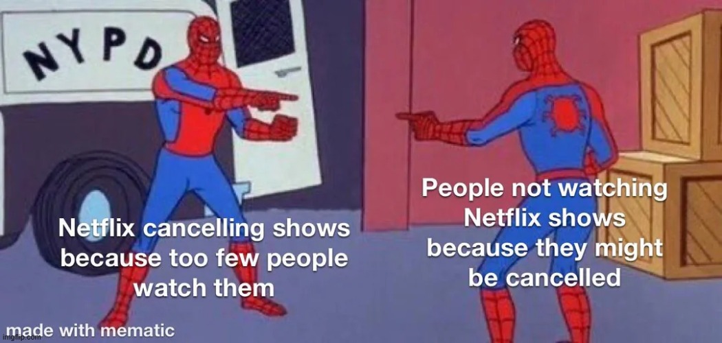 image tagged in netflix,people,shows,cancelled | made w/ Imgflip meme maker