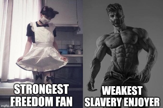 Strongest Fan VS Weakest Fan | STRONGEST FREEDOM FAN; WEAKEST SLAVERY ENJOYER | image tagged in strongest fan vs weakest fan | made w/ Imgflip meme maker