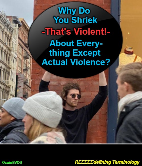 REEEEEdefining Terminology | Why Do 

You Shriek; -That's Violent!-; About Every-

thing Except 

Actual Violence? REEEEEdefining Terminology; OzwinEVCG | image tagged in guy with sign,violent,liberal logic,violence,generation snopesflake,clown world | made w/ Imgflip meme maker