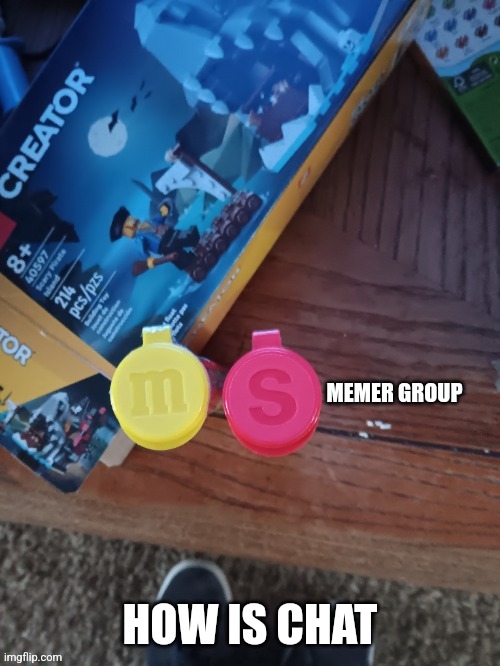 Thebest66 msmg | HOW IS CHAT | image tagged in thebest66 msmg | made w/ Imgflip meme maker