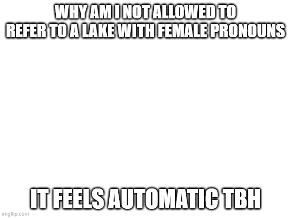WHY AM I NOT ALLOWED TO REFER TO A LAKE WITH FEMALE PRONOUNS; IT FEELS AUTOMATIC TBH | made w/ Imgflip meme maker
