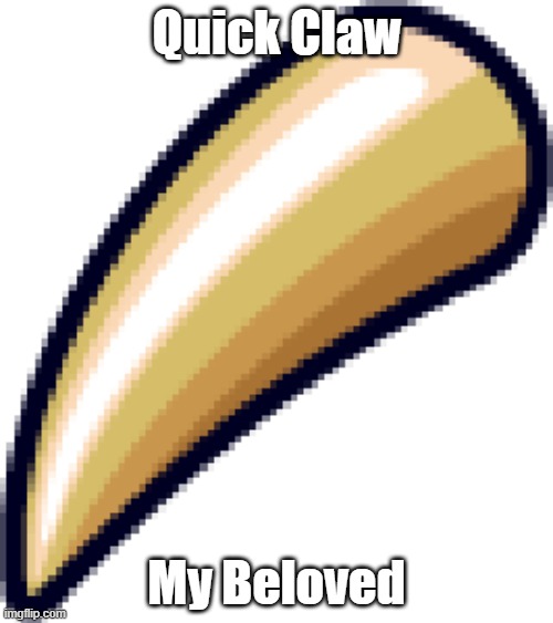 quick claw my beloved | Quick Claw; My Beloved | image tagged in pokemon | made w/ Imgflip meme maker