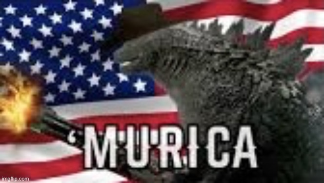 ‘Murica | image tagged in murica | made w/ Imgflip meme maker