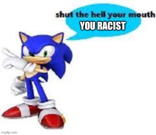 Shut the hell your mouth | YOU RACIST | image tagged in shut the hell your mouth | made w/ Imgflip meme maker