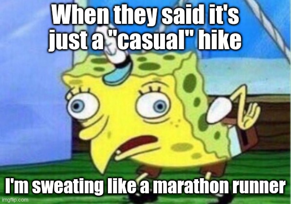 Mocking Spongebob Meme | When they said it's just a "casual" hike; I'm sweating like a marathon runner | image tagged in memes,mocking spongebob | made w/ Imgflip meme maker